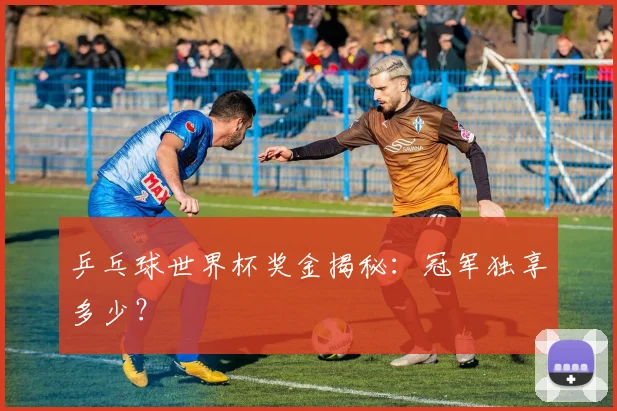 乒乓球世界杯奖金揭秘:冠军独享多少?