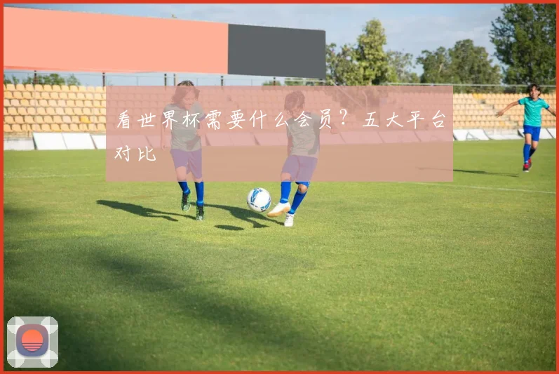 看世界杯需要什么会员？五大平台对比
